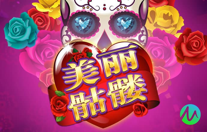 im体育app官方入口